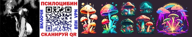 Купить  Пестово  Галлюциногенные грибы Psilocybine cubensis 
